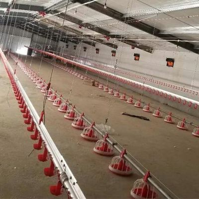 22ton 220V Auger Automatic Pan Feeding System Shed