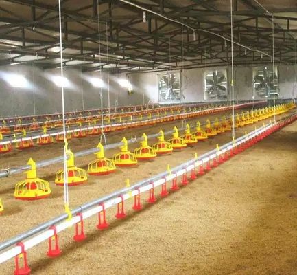 Het Uitsteeksel van Pan Feeding System Chicken Poultry van de waterlijn Automatisch het Drinken Materiaal