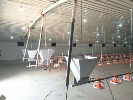 De Ketting Automatisch Pan Feeding System van het kippenlandbouwbedrijf 1 Fase